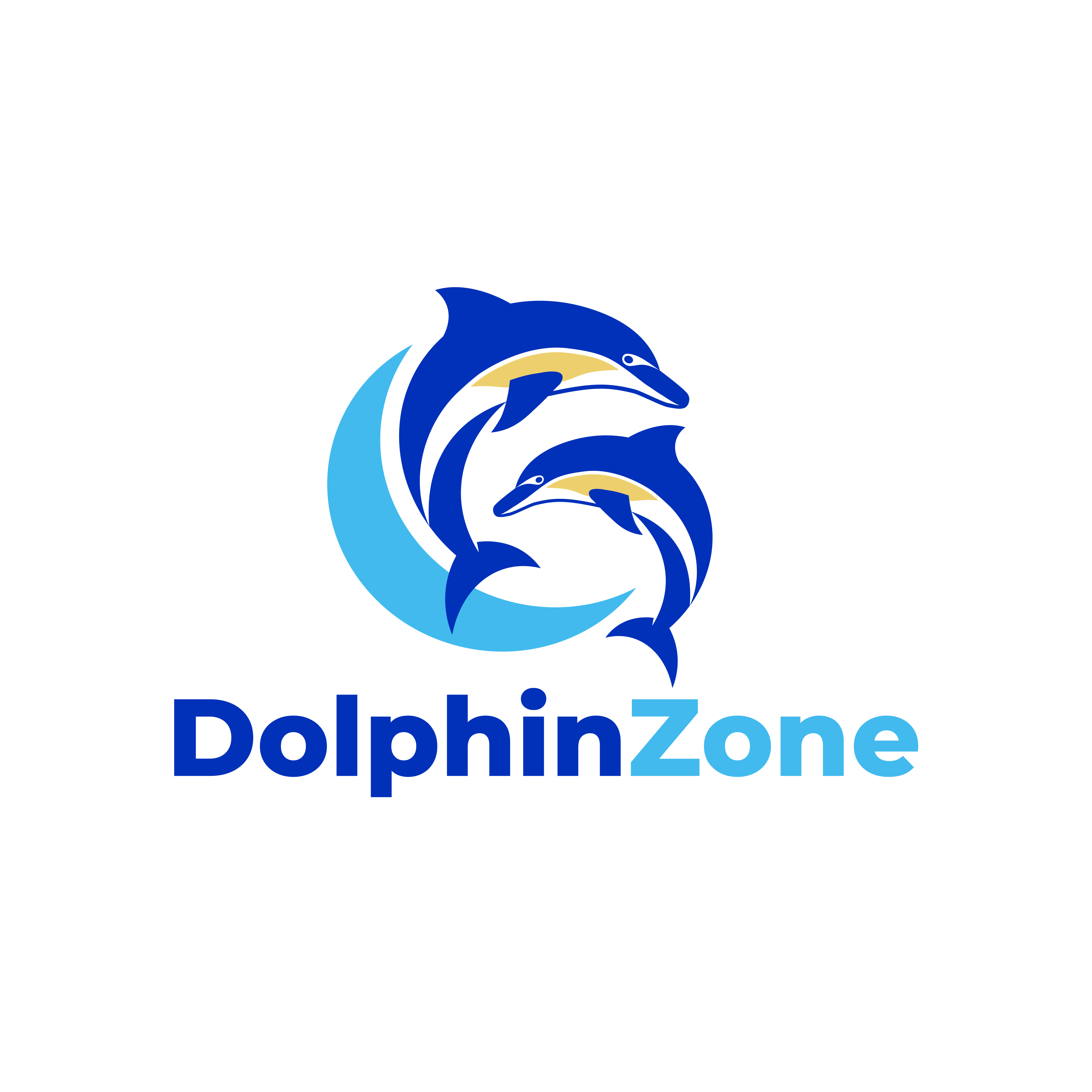DolphinZone Logo